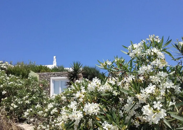 公寓 米科诺斯爱情小巢乡村民宿