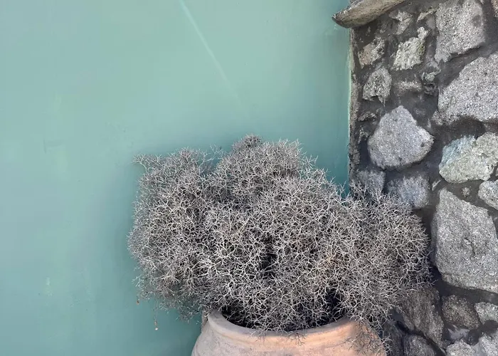 米科诺斯爱情小巢乡村民宿 *