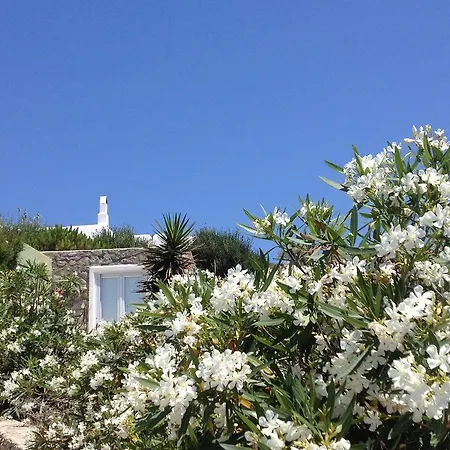 Apartman Mykonos Nest