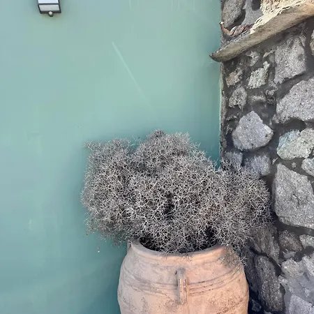 Mykonos Nest *
